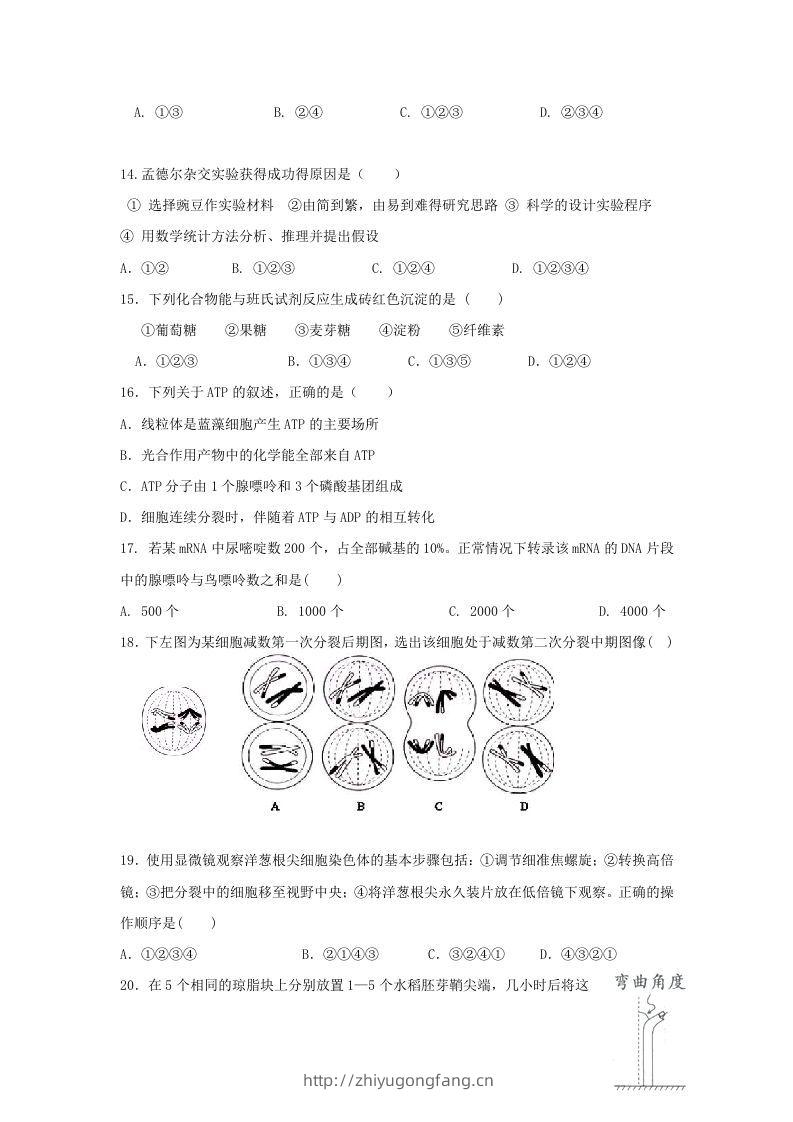 图片[3]-2010年上海高三部分重点中学二次联考生物真题及答案(Word版)-学习资料站