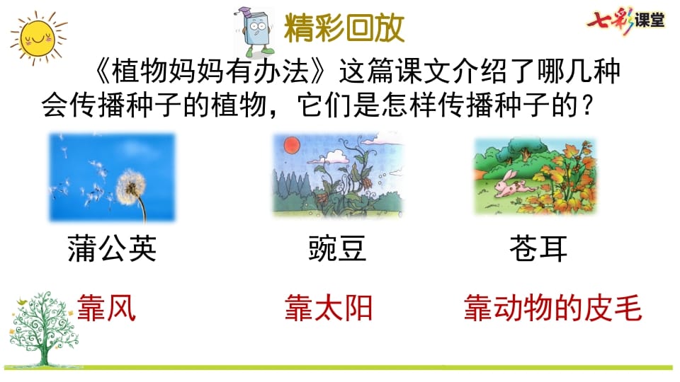图片[2]-二年级语文上册专项5：课文知识点复习课件（部编）-学习资料站