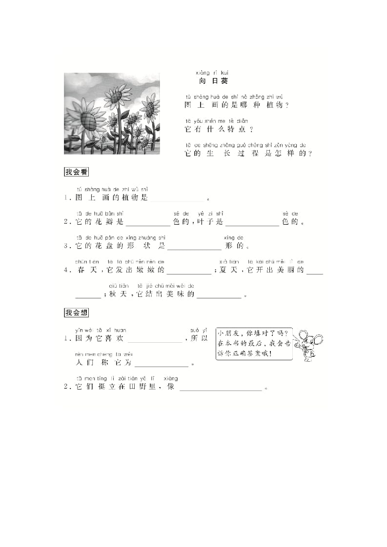 图片[2]-二年级语文上册（跟我学写话）写物（5篇）（部编）-学习资料站